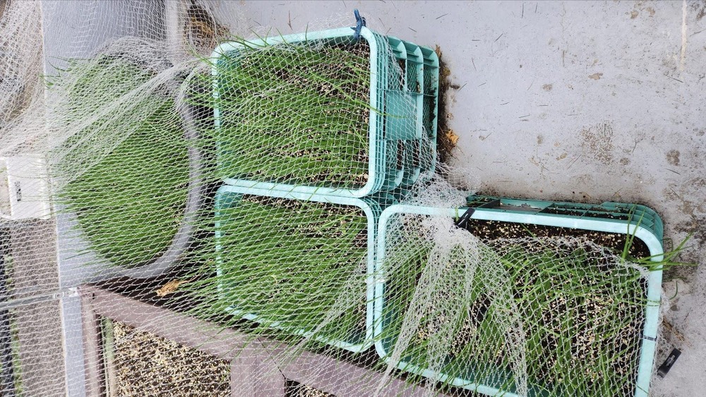 텃밭으로 하나된 우리마을의 꿈(Green Community Dream) - 공유밥상