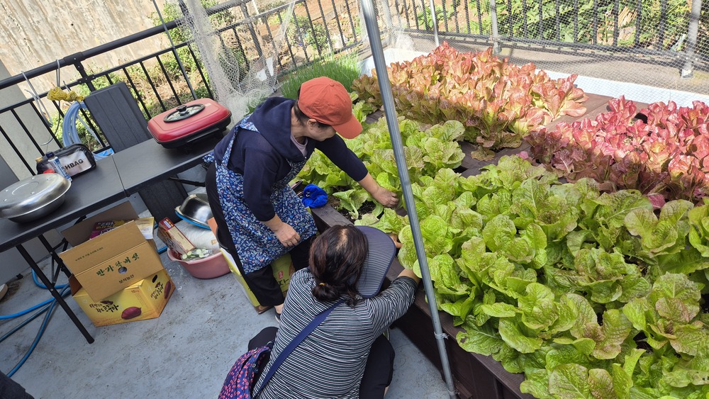 텃밭으로 하나된 우리마을의 꿈(Green Community Dream) - 공유밥상